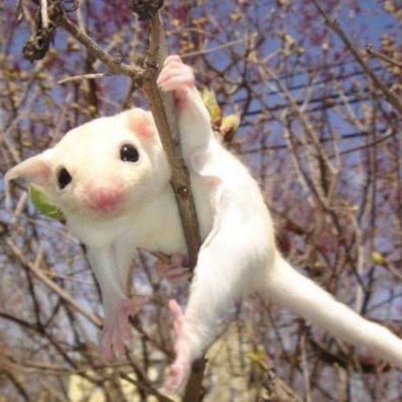 Meet your Posher, Laurie - Picture 1 of 1